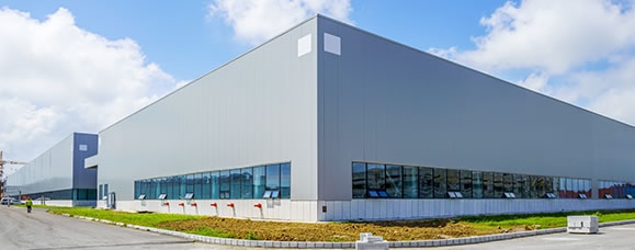 Company profile
